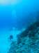 201_NICO_7969.JPG 