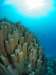 228_NICO_8110.JPG 