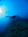 323_NICO_8410.JPG 