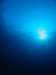 484_NICO_8937.JPG 