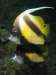 629_NICO_9323.JPG 