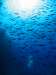 705_NICO_9548.JPG 
